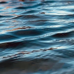 Meet your Posher, Jules